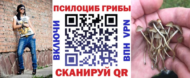 мега   Хвалынск  Галлюциногенные грибы мухоморы 
